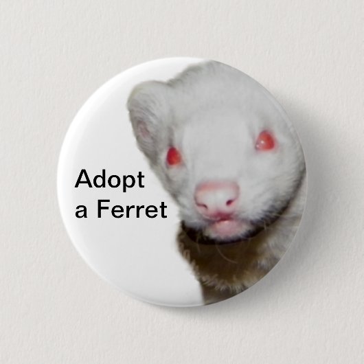 Albino Ferret Afbeelding Ronde Button 5,7 Cm (Voorkant)