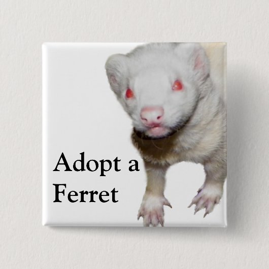 Albino Ferret Afbeelding Vierkante Button 5,1 Cm (Voorkant)