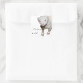 Albino Ferret Afbeelding Vierkante Sticker (Tas)