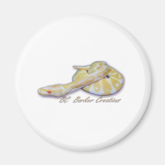 Albino Hatchling Ball Python Magneet (Voorkant)