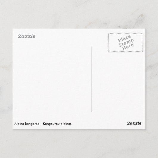 Albino kangaroo en zijn kleine briefkaart (Achterkant)