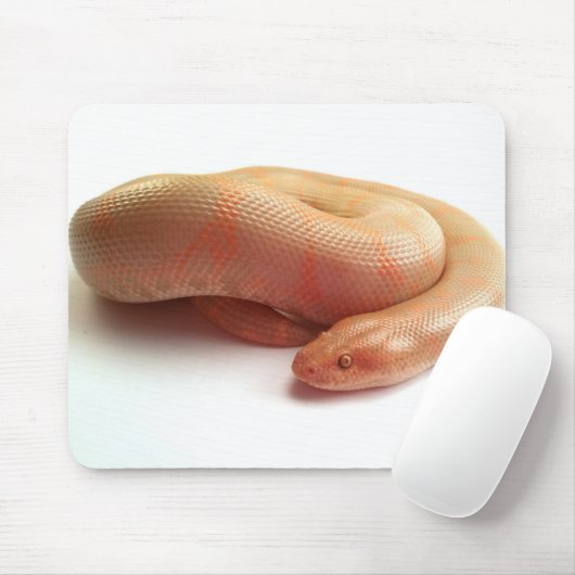 Albino kenyan zandsteenboa mousepad muismat (Met muis)