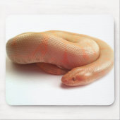 Albino kenyan zandsteenboa mousepad muismat (Voorkant)