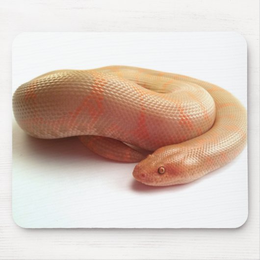 Albino kenyan zandsteenboa mousepad muismat (Voorkant)