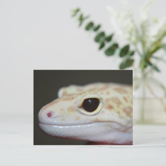 Albino Leopard Gecko Briefkaart (Staand voorkant)