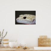 Albino Leopard Gecko sluit Poster af (Keuken)