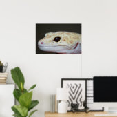 Albino Leopard Gecko sluit Poster af (Thuiskantoor)