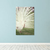 Albino pauock canvas afdruk (Insitu (Houten vloer))