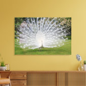 Albino Peacock-beeldschermen Veer Canvas Afdruk (Insitu (Woonkamer))
