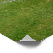 Albino Peacock-beeldschermen Veer Poster (Hoek)