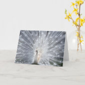 Albino Peacock Kaart (Gele Bloem)