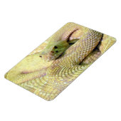 Albino Rattle Snake Flexible Magnet Magneet (Linkerzijde)