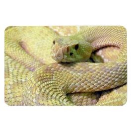 Albino Rattle Snake Flexible Magnet Magneet