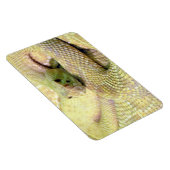 Albino Rattle Snake Flexible Magnet Magneet (Rechterzijde)