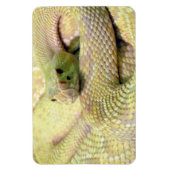 Albino Rattle Snake Flexible Magnet Magneet (Verticaal)
