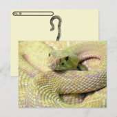 Albino Rattlesnake Post Kaart (Voorkant / Achterkant)
