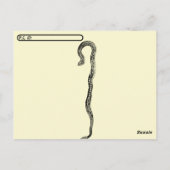 Albino Rattlesnake Post Kaart (Achterkant)