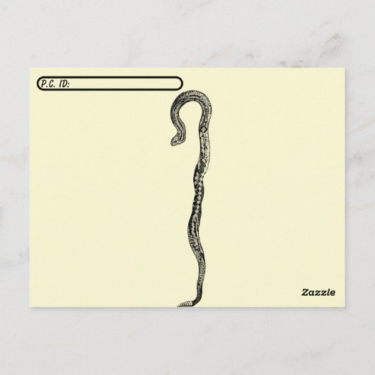 Albino Rattlesnake Post Kaart (Achterkant)