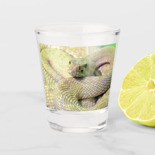 Albino Rattlesnake Shot glass Glas (Voorkant)