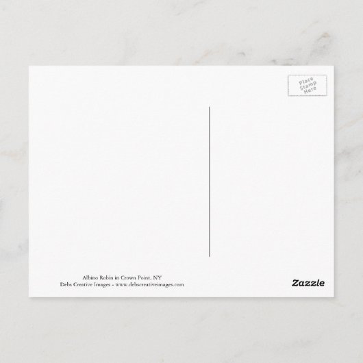 Albino Robin in Crown Point Briefkaart (Achterkant)