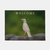 Albino Robin in Crown Point Deurmat (Voorkant)