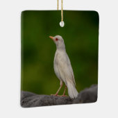 Albino Robin in Crown Point Keramisch Ornament (Rechts)