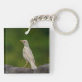 Albino Robin in Crown Point Sleutelhanger (Achterkant)