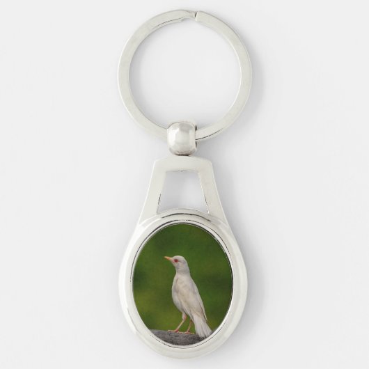 Albino Robin in Crown Point Sleutelhanger (Voorkant)