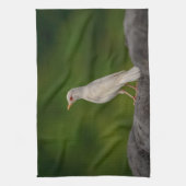 Albino Robin in Crown Point Theedoek (Verticaal)