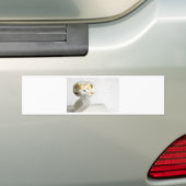 ALBINO SNAKE BUMPERSTICKER (Op auto)