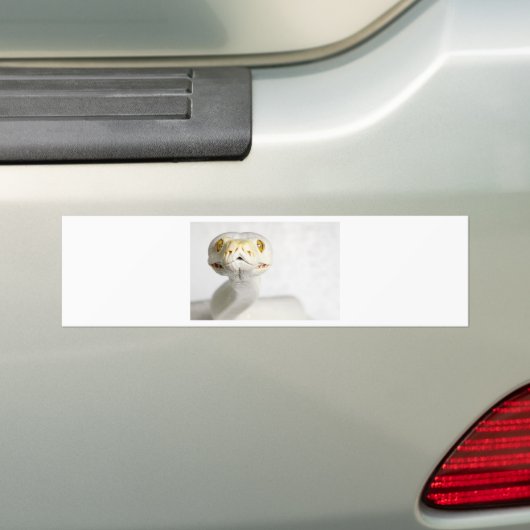 ALBINO SNAKE BUMPERSTICKER (Op auto)