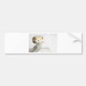 ALBINO SNAKE BUMPERSTICKER (Voorkant)