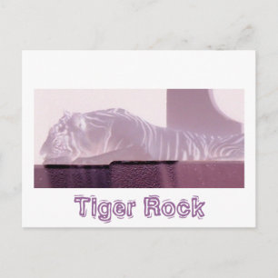Albino Tiger Briefkaart