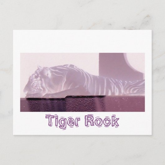 Albino Tiger Briefkaart (Voorkant)