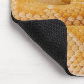 Albino Westerne diamondback ratelslang (Crotalus A Muismat (Hoek)