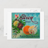 Albion Brand Citrus Crate Label Briefkaart (Voorkant / Achterkant)