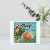 Albion Brand Citrus Crate Label Briefkaart (Staand voorkant)
