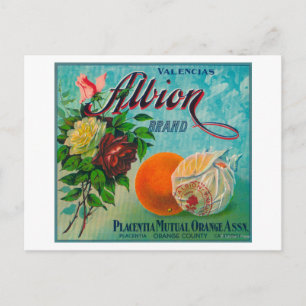Albion Brand Citrus Crate Label Briefkaart