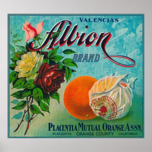 Albion Brand Citrus Crate Label Poster (Voorkant)