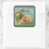 Albion Sinaasappels Fruit Crate Label (Tas)