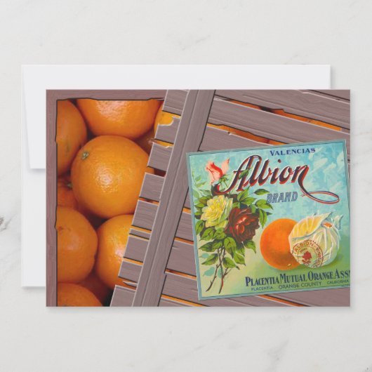 Albion Sinaasappels Fruit Crate Label Kaart (Voorkant)