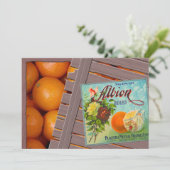 Albion Sinaasappels Fruit Crate Label Kaart (Staand voorkant)