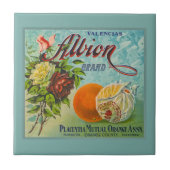 Albion Sinaasappels Fruit Crate Label Tegeltje (Voorkant)