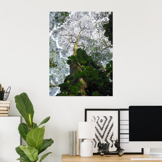 Albizia Tree Poster (Thuiskantoor)