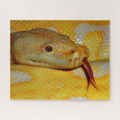 Alboino Birmese Python Legpuzzel (Horizontaal)