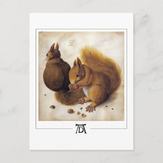 Albrecht Dürer #56 - Fine Art Briefkaart (Voorkant)