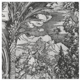 Albrecht Dürer Black en White Stof