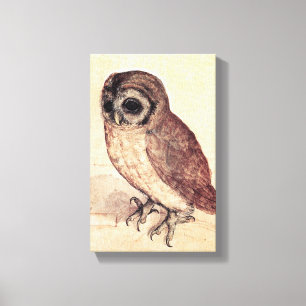 Albrecht Durer De Kleine Owl Canvas Afdruk