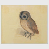 Albrecht Durer De kleine uil beeldende kunst Cadeaupapier (Vlak)