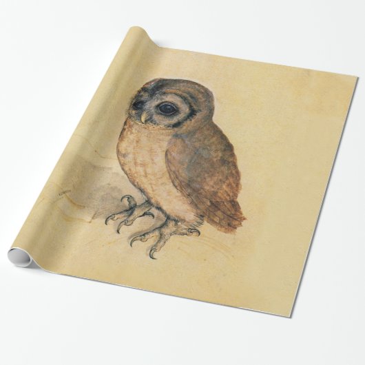 Albrecht Durer De kleine uil beeldende kunst Cadeaupapier (Uitgerold)